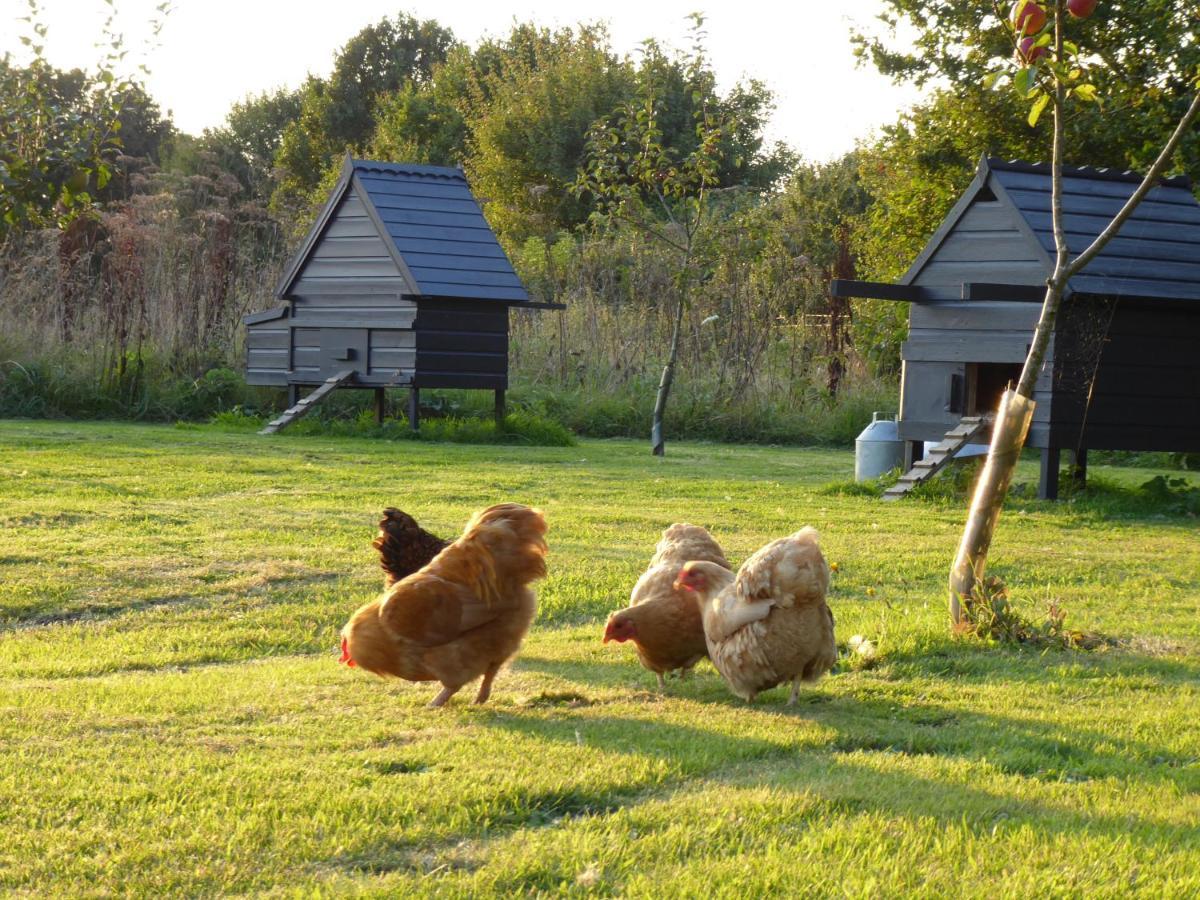 Colkirk The Oaks Glamping - Magpie Half Shepherds Hut酒店 外观 照片